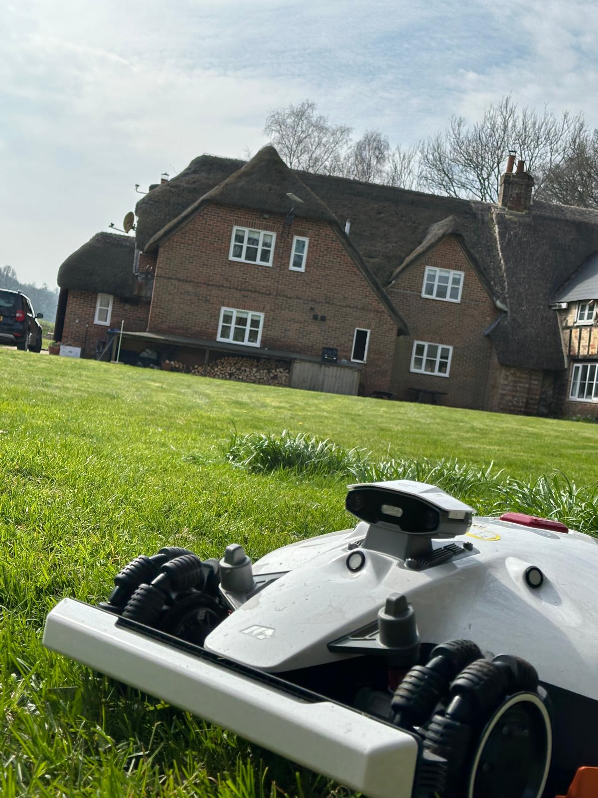 Traditional thatched cottage garden
